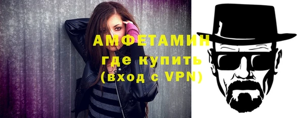 ГАЛЛЮЦИНОГЕННЫЕ ГРИБЫ Горняк