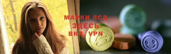 ГАЛЛЮЦИНОГЕННЫЕ ГРИБЫ Горняк