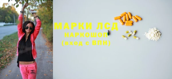 ГАЛЛЮЦИНОГЕННЫЕ ГРИБЫ Горняк
