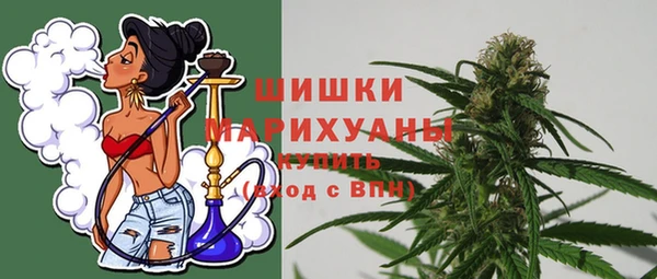 ГАЛЛЮЦИНОГЕННЫЕ ГРИБЫ Горняк