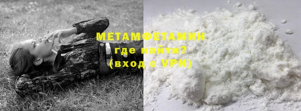ГАЛЛЮЦИНОГЕННЫЕ ГРИБЫ Горняк